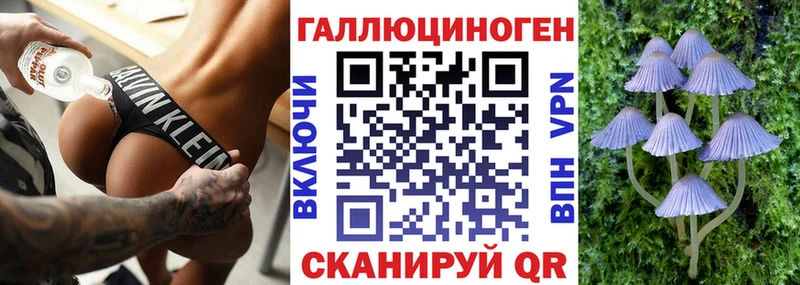 Галлюциногенные грибы Psilocybine cubensis  Ивантеевка 